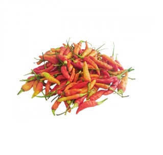 IMG-PRODUCT