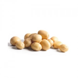 IMG-PRODUCT