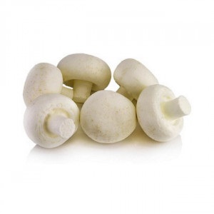 IMG-PRODUCT