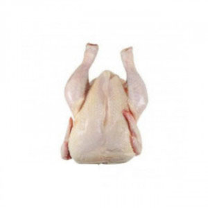 IMG-PRODUCT