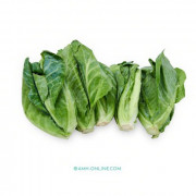 IMG-PRODUCT