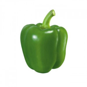 IMG-PRODUCT