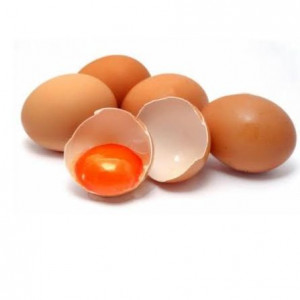 IMG-PRODUCT